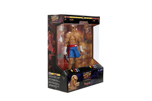 STREET FIGHTER II SAGAT 6IN DLX AF