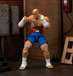 STREET FIGHTER II SAGAT 6IN DLX AF