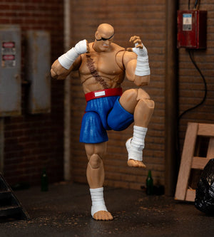 STREET FIGHTER II SAGAT 6IN DLX AF