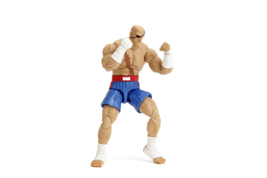 STREET FIGHTER II SAGAT 6IN DLX AF