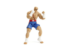 STREET FIGHTER II SAGAT 6IN DLX AF